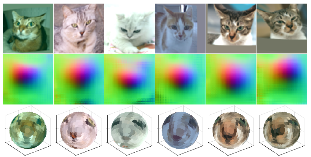 Similar to the previous image, this diagram shows the process of transforming six photos of various cats into more spherical representations.
