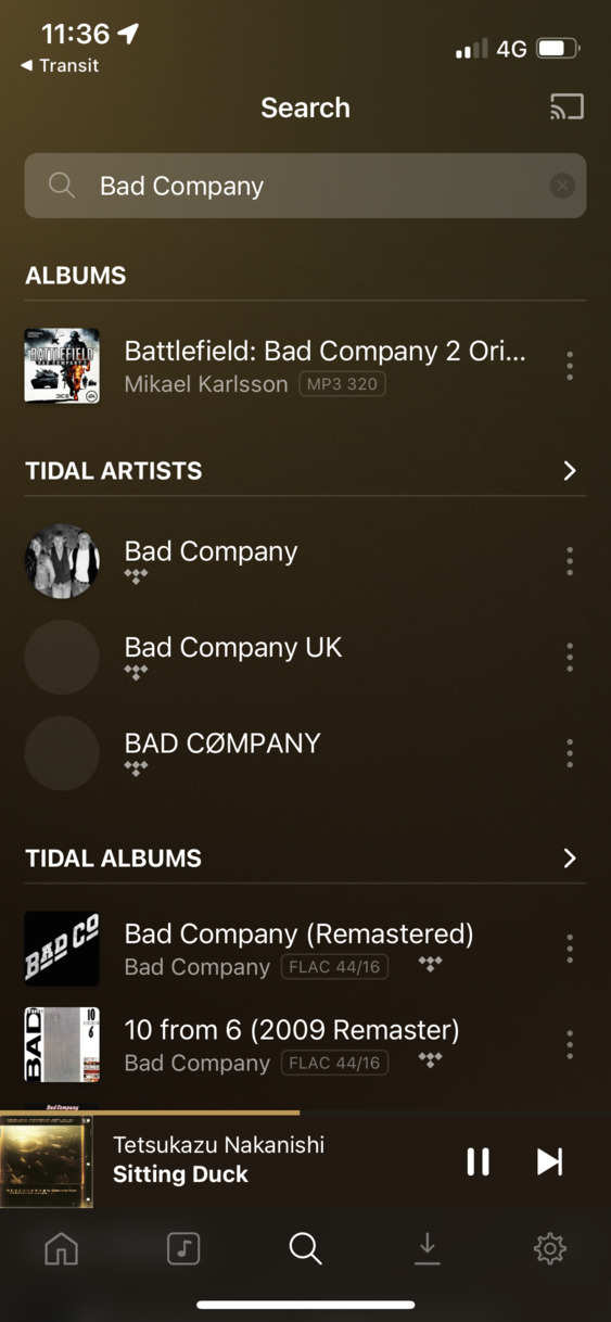 Visible is a screenshot of the Plexamp iOS application. It is open to a search for the phrase "Bad Company". The results are split into sections. The first section called "Albums" contains one result which is the OST for Battlefield: Bad Company 2. The next two sections are "Tidal Artists" and "Tidal Albums" respectively which surface results relating to the phrase "Bad Company".